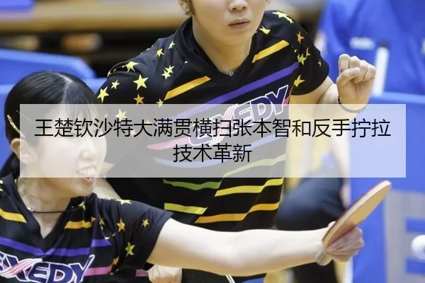 wang-chu-qin-sha-te-da-man-guan-heng-sao-zhang-ben-zhi-he-fan-shou-ning-la-ji-shu-ge-xin-1-755.jpg