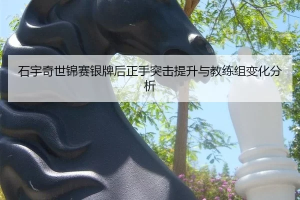 shi-yu-qi-shi-jin-sai-yin-pai-hou-zheng-shou-tu-ji-ti-sheng-yu-jiao-lian-zu-bian-hua-fen-xi-1-483.jpg